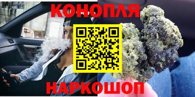 МДПВ Бердск