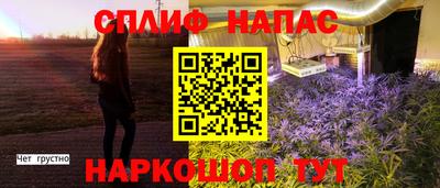 МДПВ Бердск