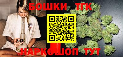МДПВ Бердск