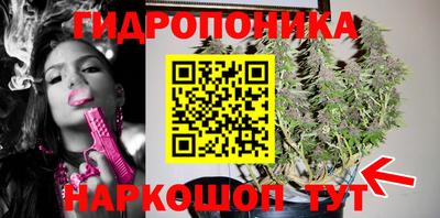 эйфоретик Ачхой-Мартан
