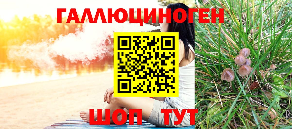 Галлюциногенные грибы Psilocybine cubensis Воронеж