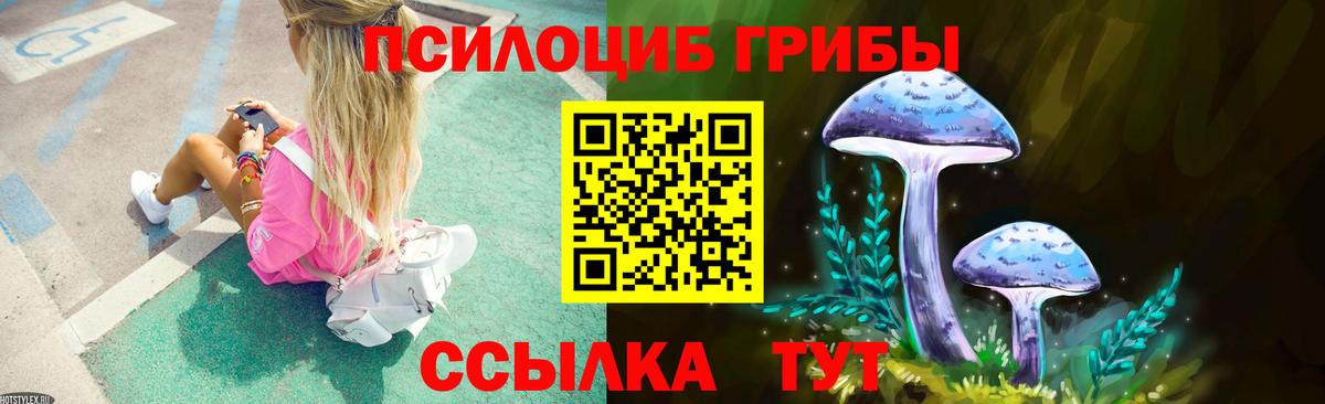 Галлюциногенные грибы прущие грибы  Вход с VPN  Воронеж 